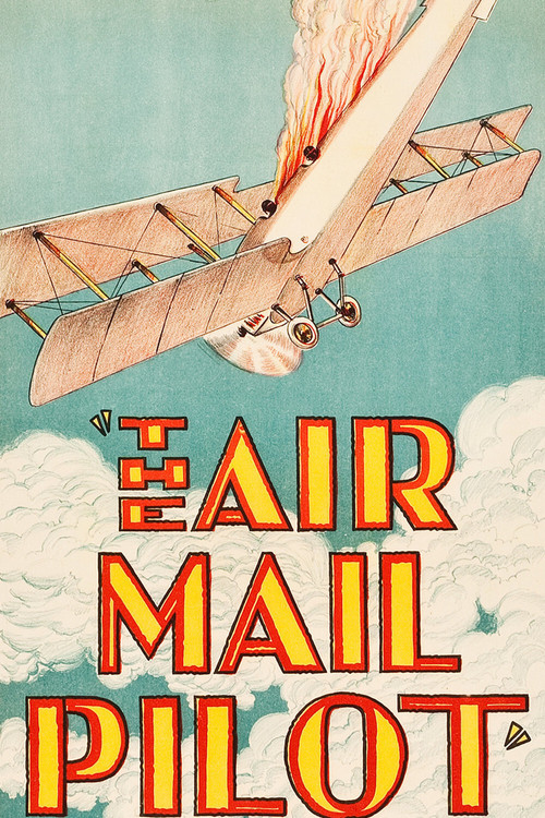 The Air Mail Pilot (1928) poster