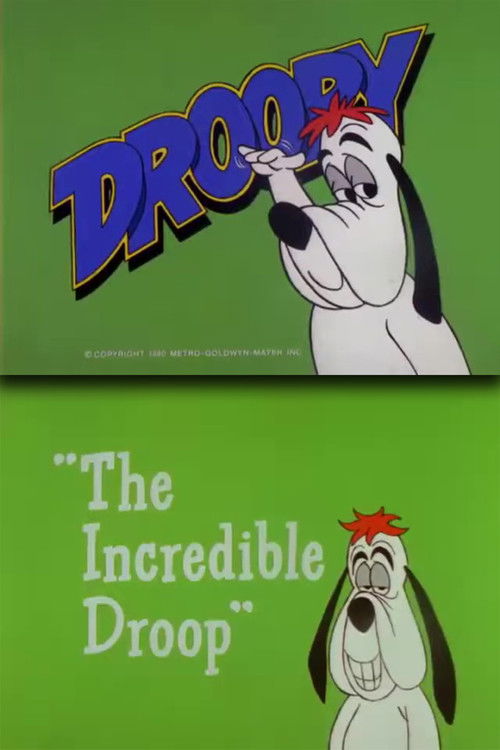 The Incredible Droop (1980) poster