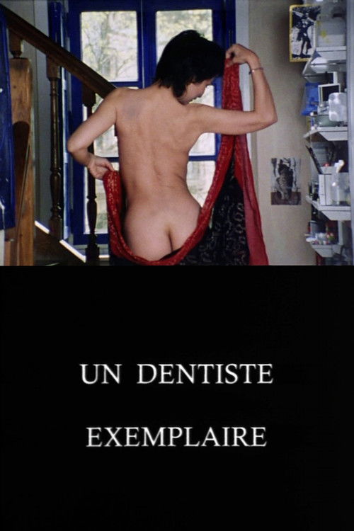 Un dentiste exemplaire (1998) poster