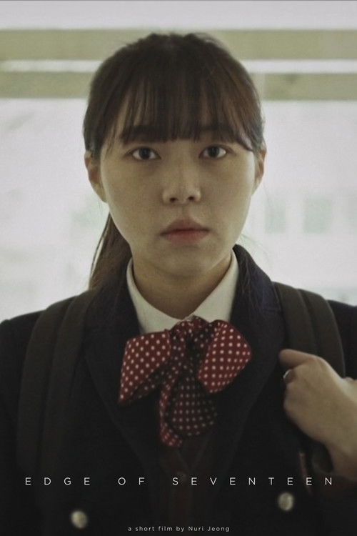 Edge of Seventeen (2016) poster