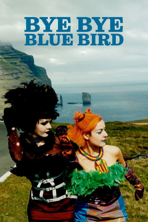 Bye Bye Blue Bird (1999) poster