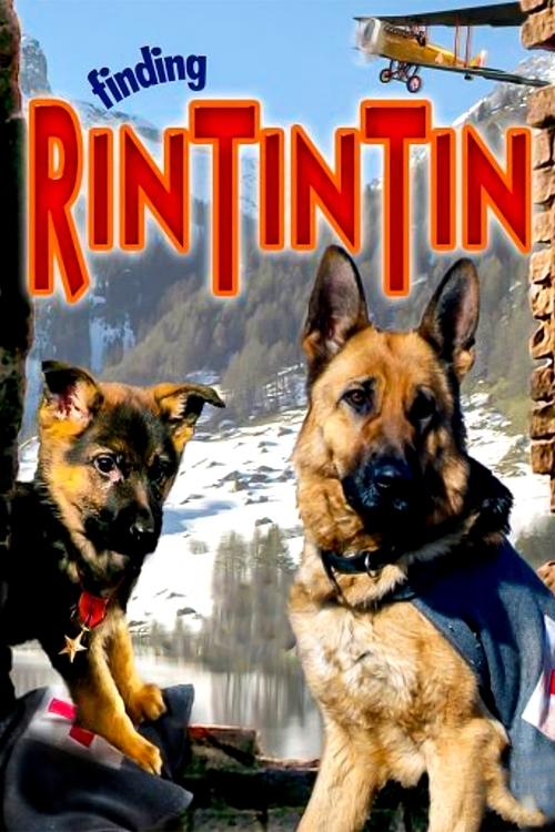 Rin Tin Tin (2007) poster