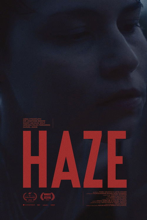 HAZE (2023) poster