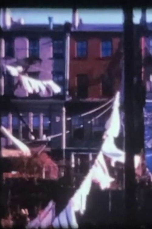 Brummer's (1967) poster