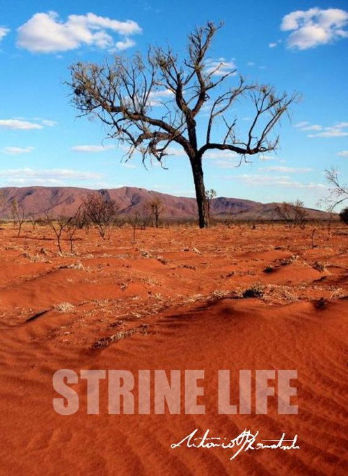 Strine Life (2016) poster