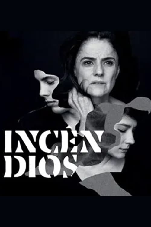 Incêndios (2014) poster
