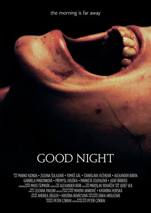 Good Night (2013) poster