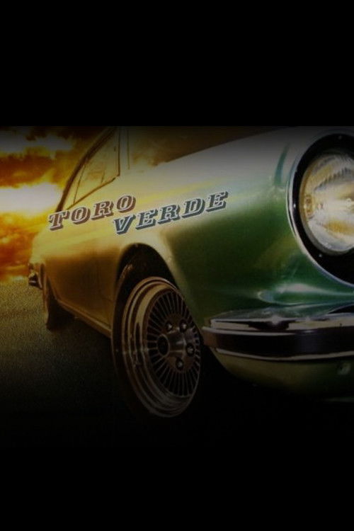 Historias breves V: Toro verde (2009) poster