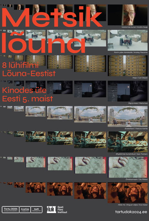 Wild South (2024) poster