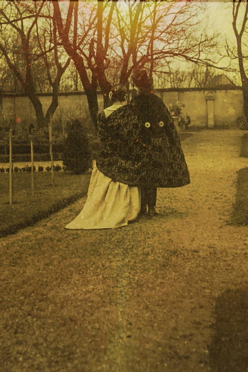 The Three Hundred Year Old Man (1914) poster