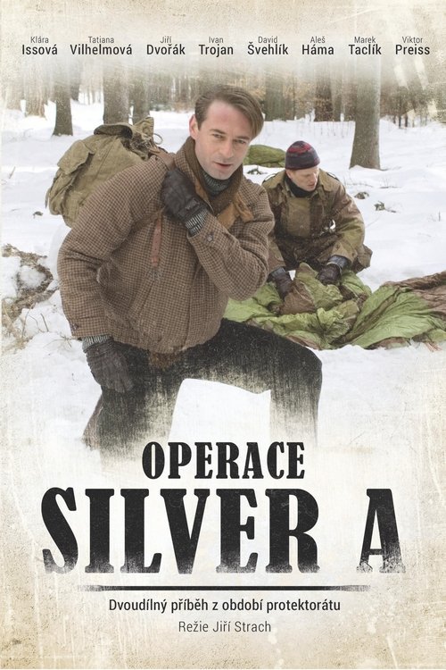 Operation Silver A (2007) poster