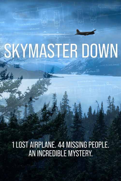 Skymaster Down (2022) poster
