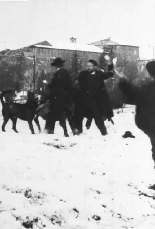 Snowball Fight (1896) poster