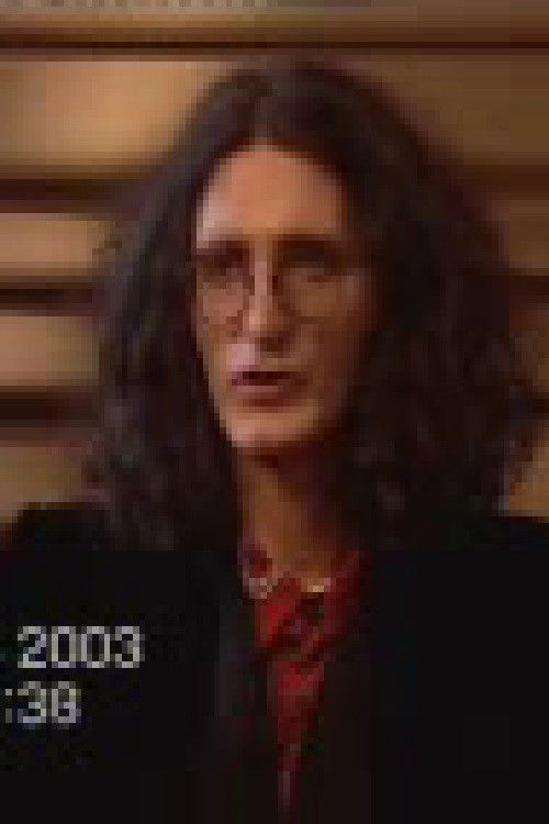 How the Album Harmonajzer Was Being Recorded (2003) poster