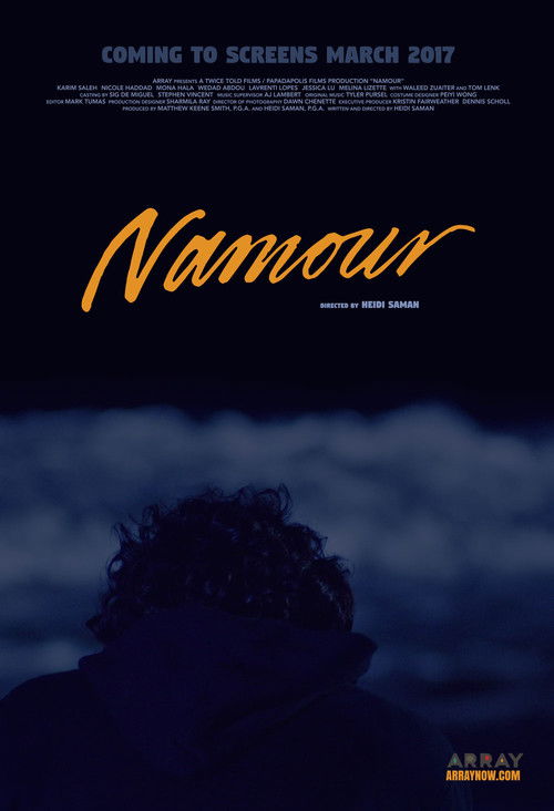 Namour (2016) poster