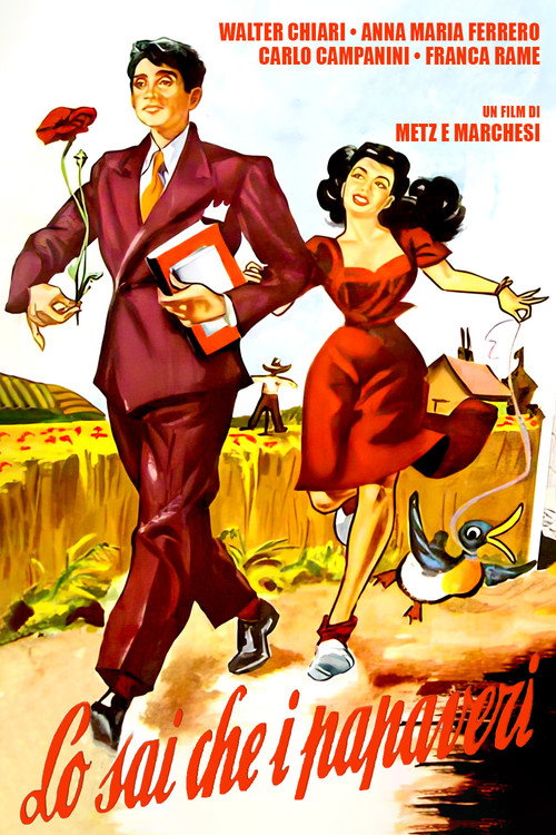 Lo sai che i papaveri... (1952) poster