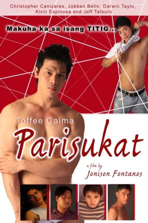 Parisukat (2010) poster