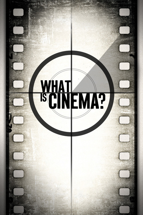 What Is Cinema? (2013) poster