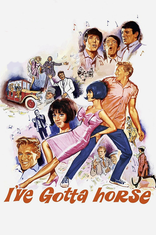 I've Gotta Horse (1965) poster
