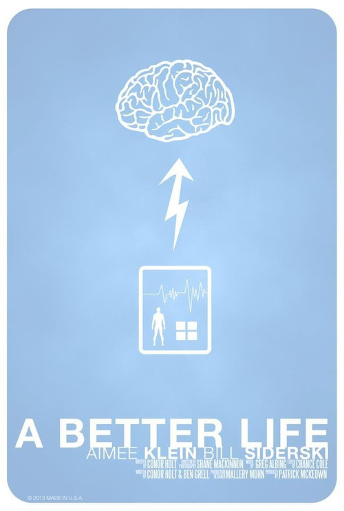 A Better Life (2013) poster