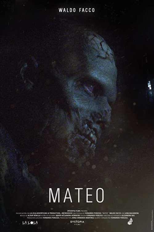 Mateo (2020) poster