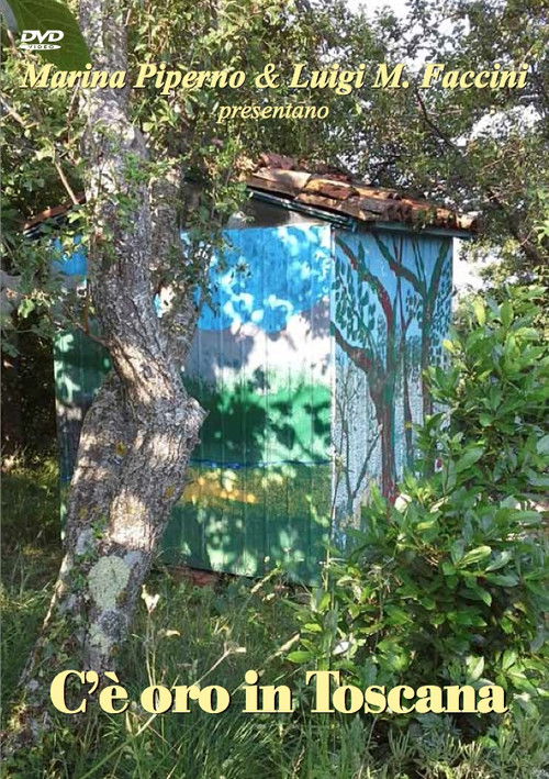 C’è oro in Toscana (2014) poster