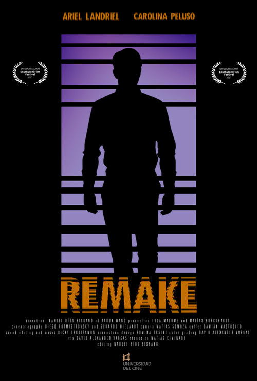 Remake poster