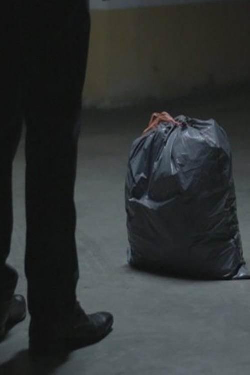 La Bolsa (2017) poster