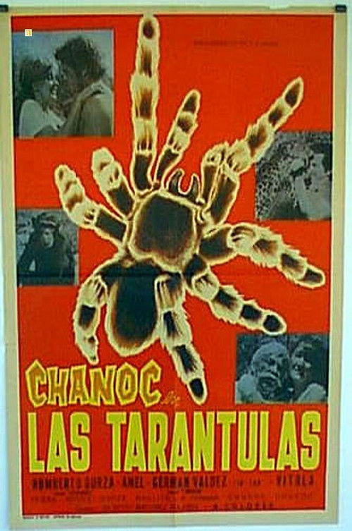 Las tarántulas (1973) poster