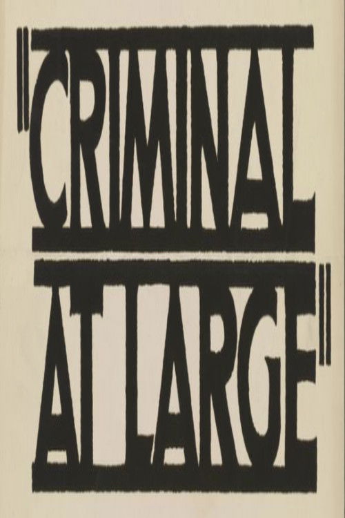 A Criminal at Large (1939) poster
