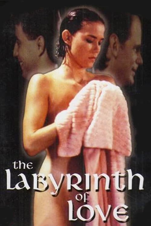 Il labirinto dei sensi (1994) poster
