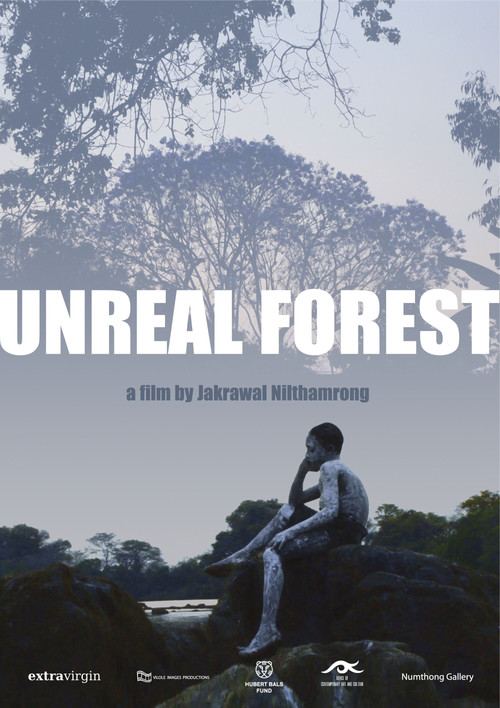 Unreal Forest (2010) poster