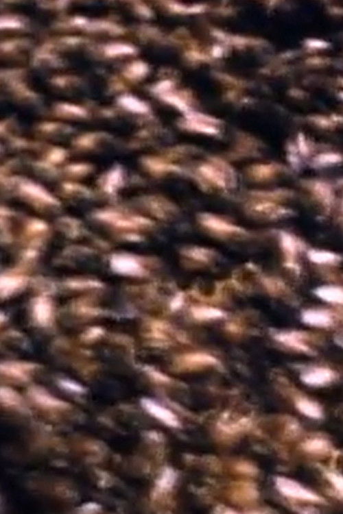 Blind Huber (2005) poster