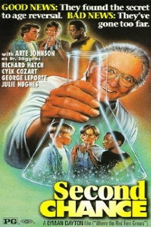 Second Chance (1996) poster