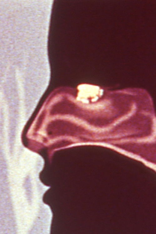 Light Work Mood Disorder (2006) poster