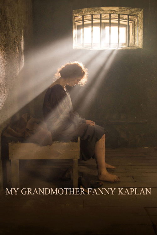 My Grandmother Fanny Kaplan (2016) poster