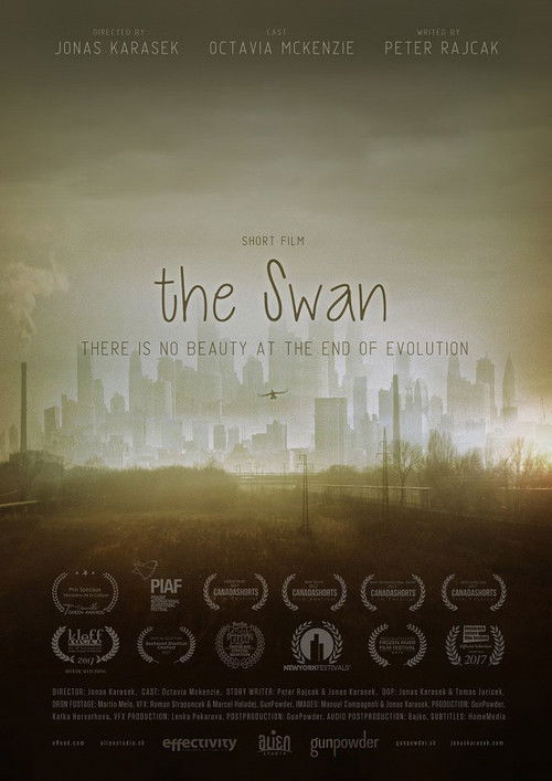 The Swan (2017) poster
