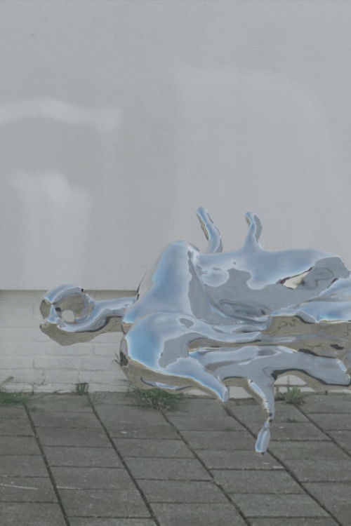 Partial (2021) poster