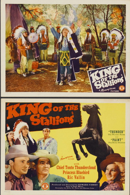 King of the Stallions (1942) poster