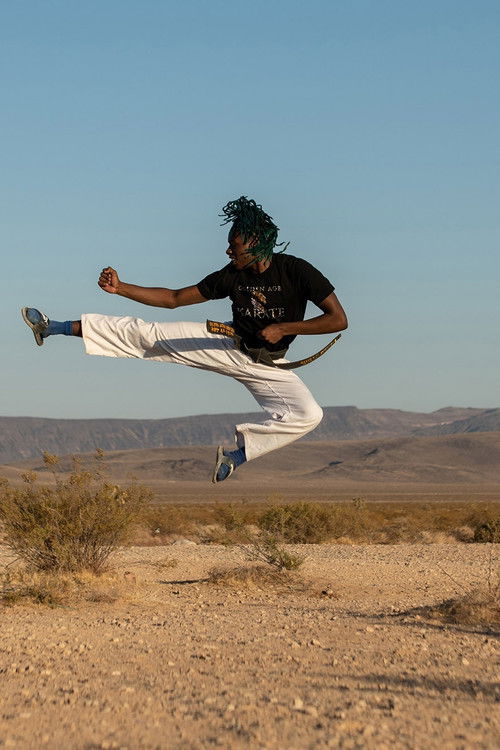 Golden Age Karate (2021) poster