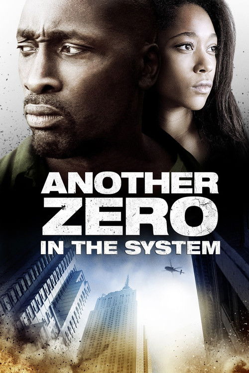 Another Zero in the System (2013) poster