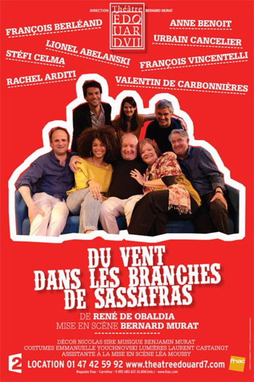Du vent dans les branches de sassafras (2016) poster