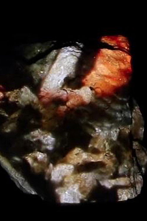 de hundrede mand (2019) poster