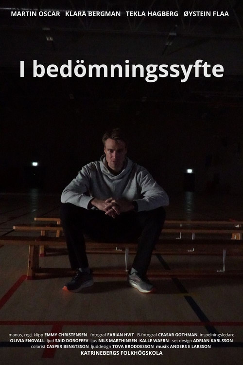 I bedömningssyfte (2025) poster