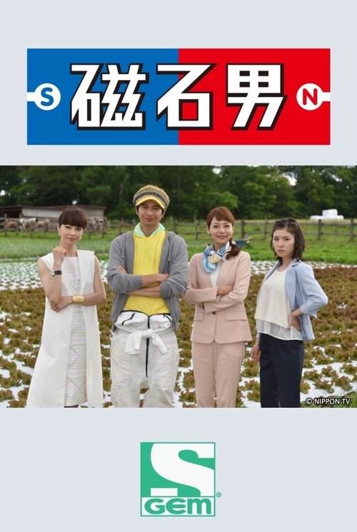 磁石男2015 (2015) poster