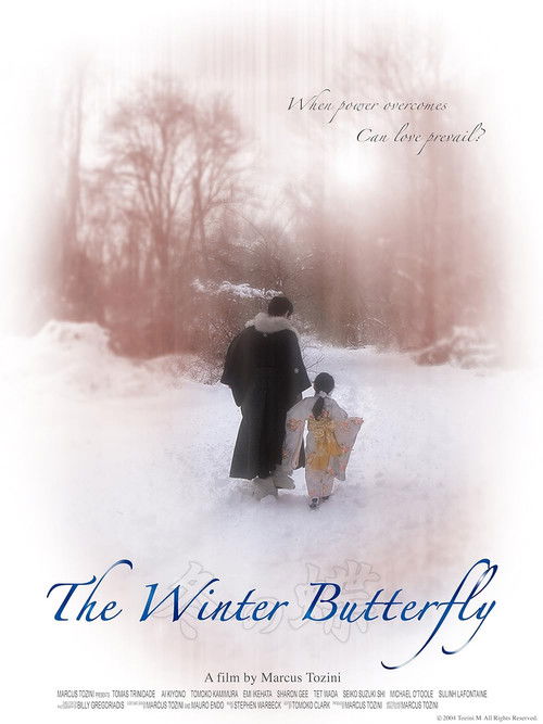 The Winter Butterfly (2010) poster
