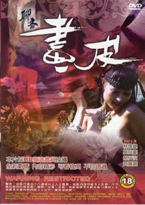 聊齋 畫皮 (2009) poster
