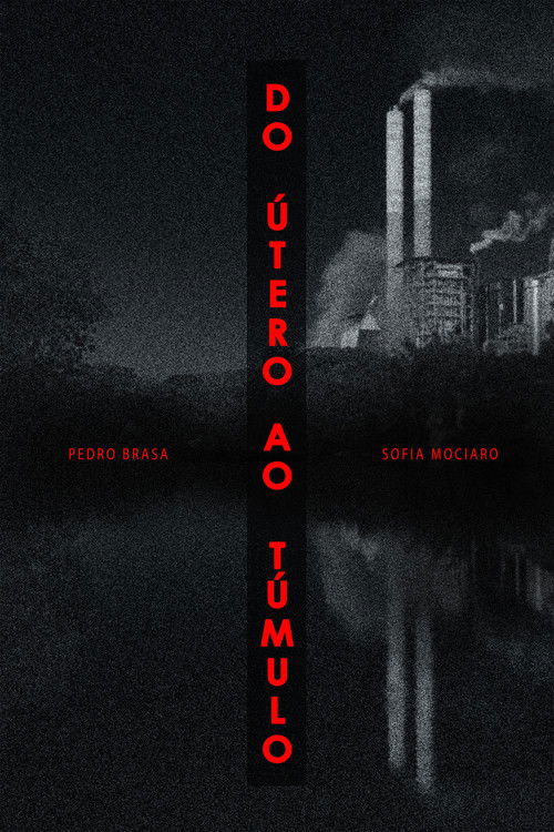 Do Útero Ao Túmulo (2022) poster