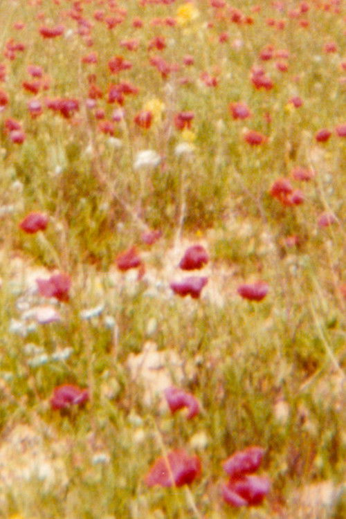 Contra o inverno (2023) poster