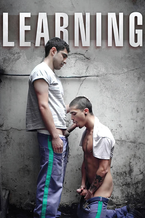 Learning (2015) poster